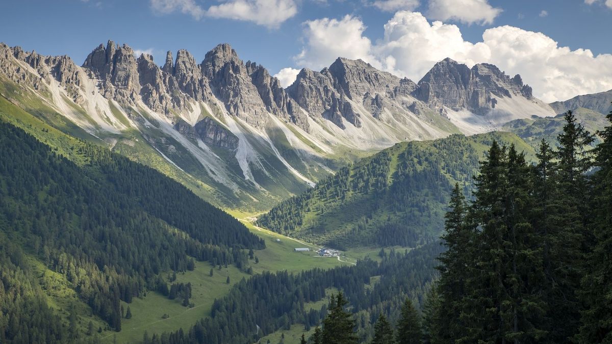 Putování desítek amerických studentů v Tyrolsku skončilo po napadení krávami manévry záchranářů